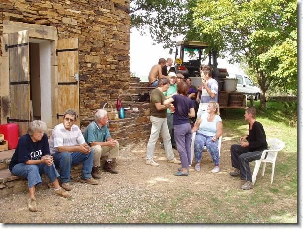 vendange 2005 05